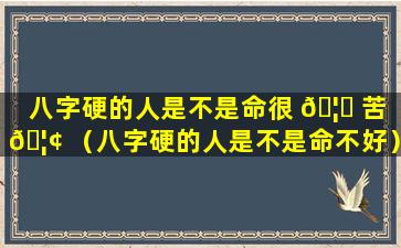 八字硬的人是不是命很 🦉 苦 🦢 （八字硬的人是不是命不好）